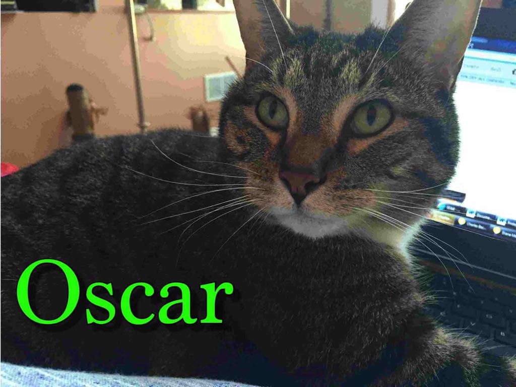 5oscar name left sm