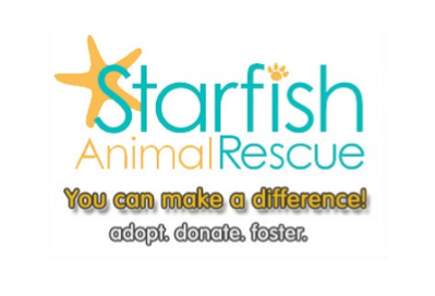 Starfish rescue banner