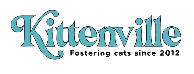 Kittenville fostering cats since 2012
